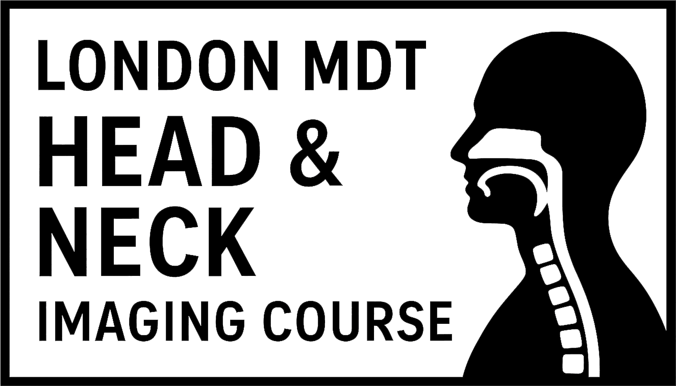 H&N Imaging Course Logo